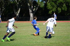 Enlarge photo 780