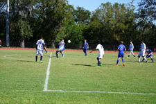Enlarge photo 797