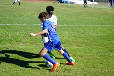 Enlarge photo 806