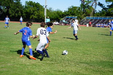 Enlarge photo 811