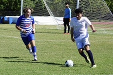 Enlarge photo 816