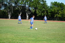 Enlarge photo 822