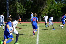 Enlarge photo 829