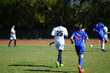 Enlarge photo 831
