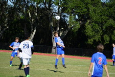 Enlarge photo 840