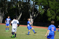 Enlarge photo 839