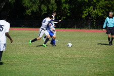 Enlarge photo 847