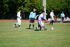 Enlarge photo 851