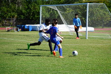 Enlarge photo 876