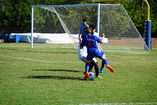 Enlarge photo 878