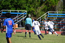 Enlarge photo 892