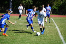 Enlarge photo 901