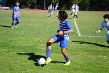 Enlarge photo 910
