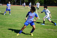Enlarge photo 909
