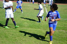 Enlarge photo 912