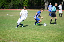 Enlarge photo 931