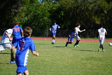 Enlarge photo 935