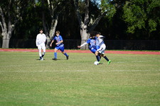 Enlarge photo 946