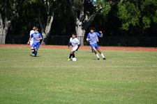 Enlarge photo 947