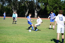 Enlarge photo 954