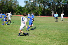 Enlarge photo 958