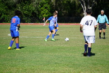 Enlarge photo 963