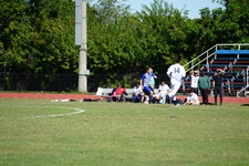 Enlarge photo 968