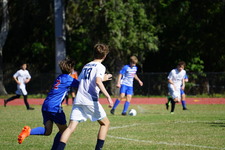 Enlarge photo 970