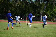 Enlarge photo 977