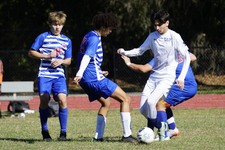 Enlarge photo 981