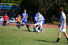 Enlarge photo 982