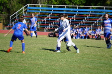 Enlarge photo 985