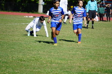 Enlarge photo 990