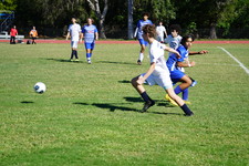 Enlarge photo 993