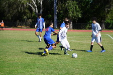 Enlarge photo 998