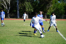 Enlarge photo 1001
