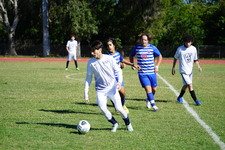 Enlarge photo 1003