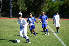Enlarge photo 1005
