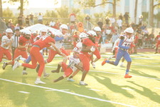 Enlarge photo 25