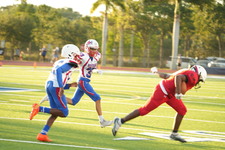 Enlarge photo 36