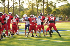 Enlarge photo 39