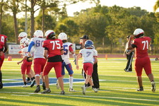Enlarge photo 43