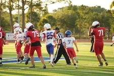 Enlarge photo 44