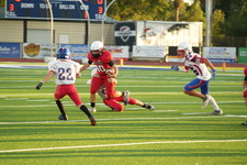 Enlarge photo 47