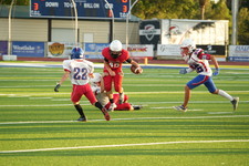 Enlarge photo 48