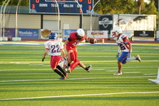 Enlarge photo 49