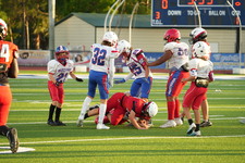 Enlarge photo 55