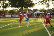 Enlarge photo 88