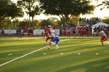 Enlarge photo 90