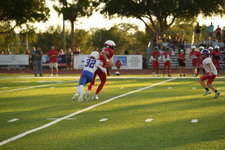 Enlarge photo 93